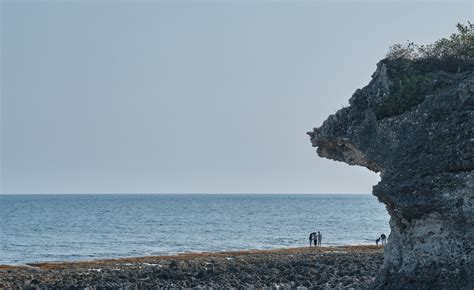 老鼠岩